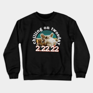 Chilling on twosday / 22222 / pet lover gift idea Crewneck Sweatshirt